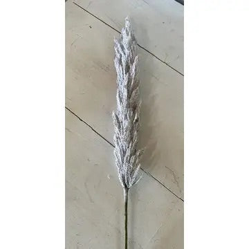 Pastel Pampas Grass