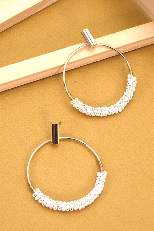 Glass seed Earrings