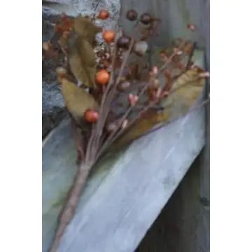Fall Leaf & Berry Pick