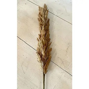 Brown Coarse Pampas