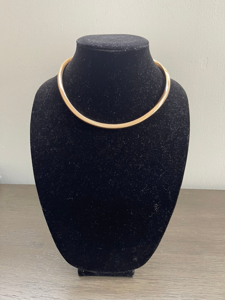 The Omega Necklace