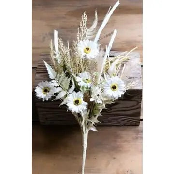Daisy Pampas
