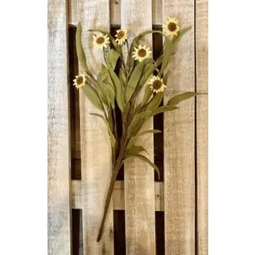 Rustic Daisy pick