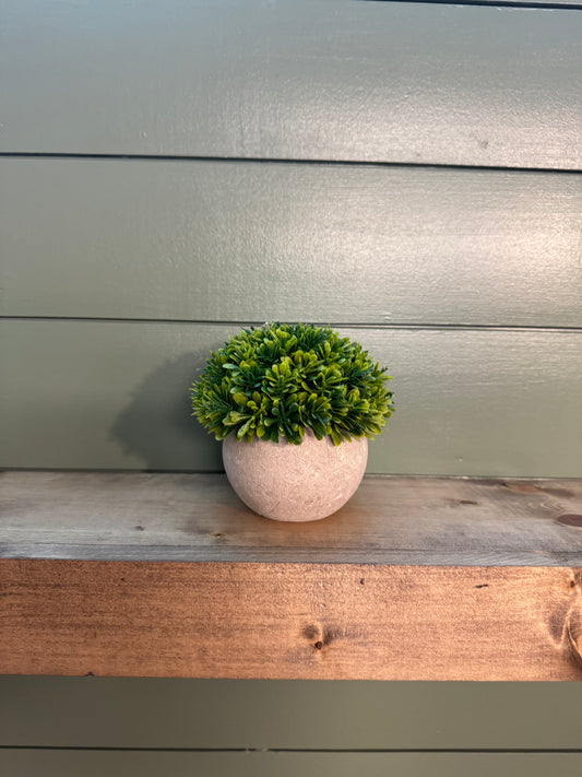 Stone Pot & Foliage