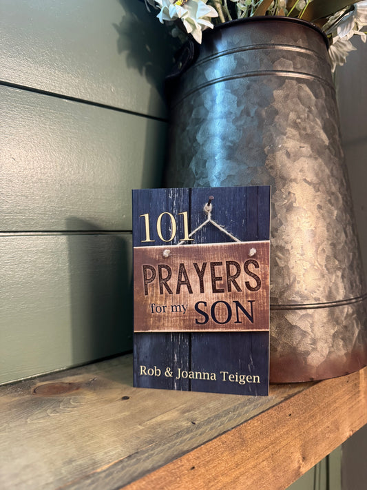 101 Prayers for my Son book