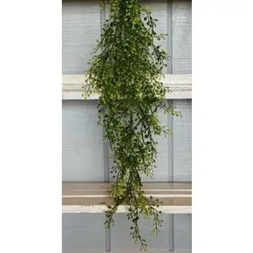 Baby Grass Vine