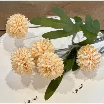 Peach Pom Pom Pick